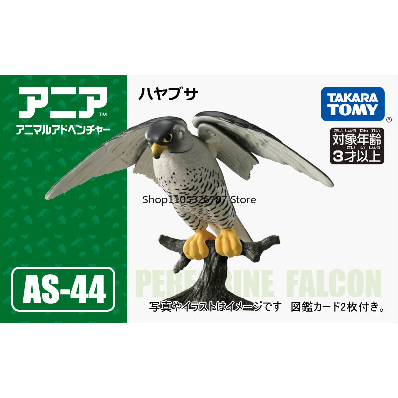 Kids Education In Japan - Original Authentic Tomy Ania Peregrine Falcon
