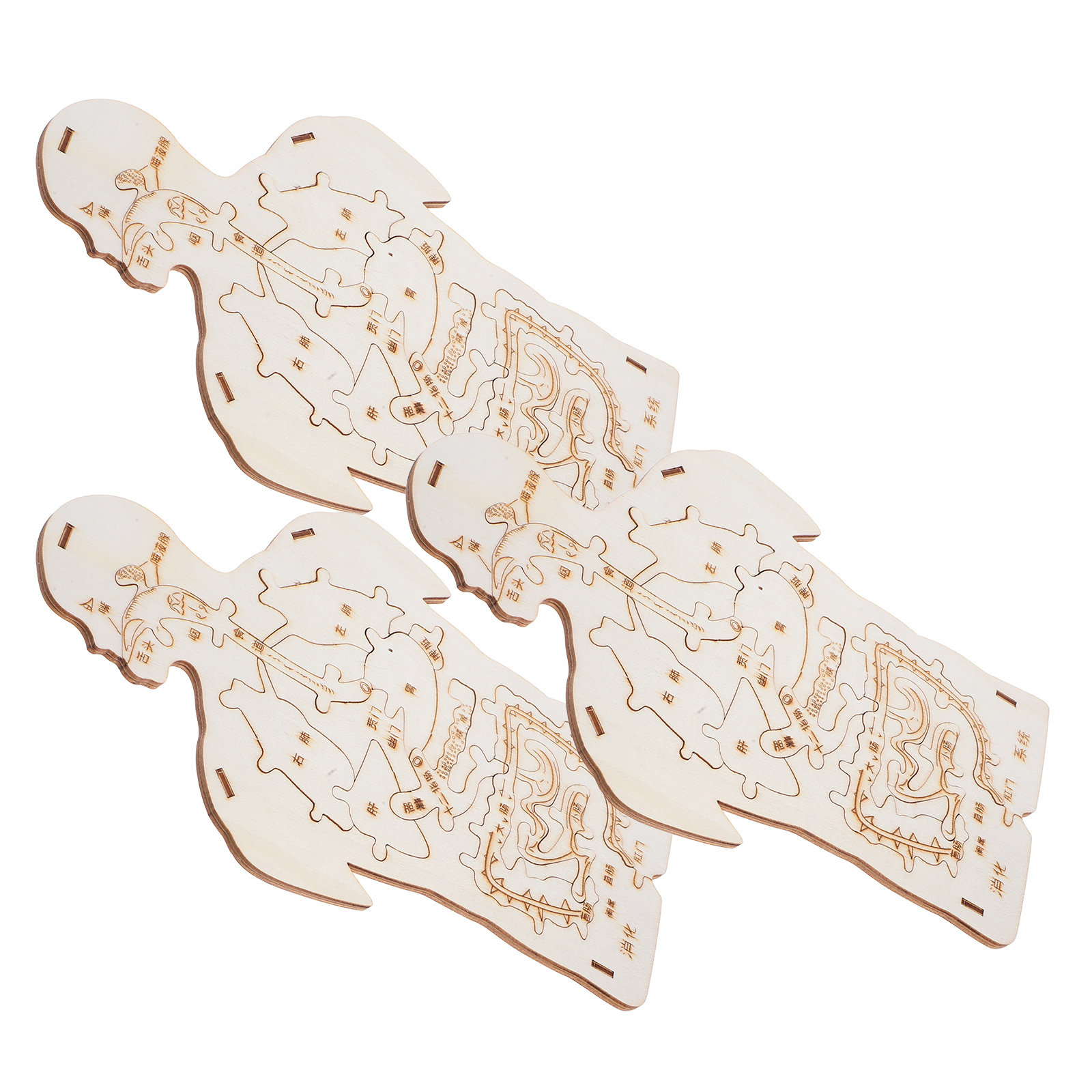 3Pcs Wooden Human Body Puzzle  - огляд і ціна Human Body Puzzle
