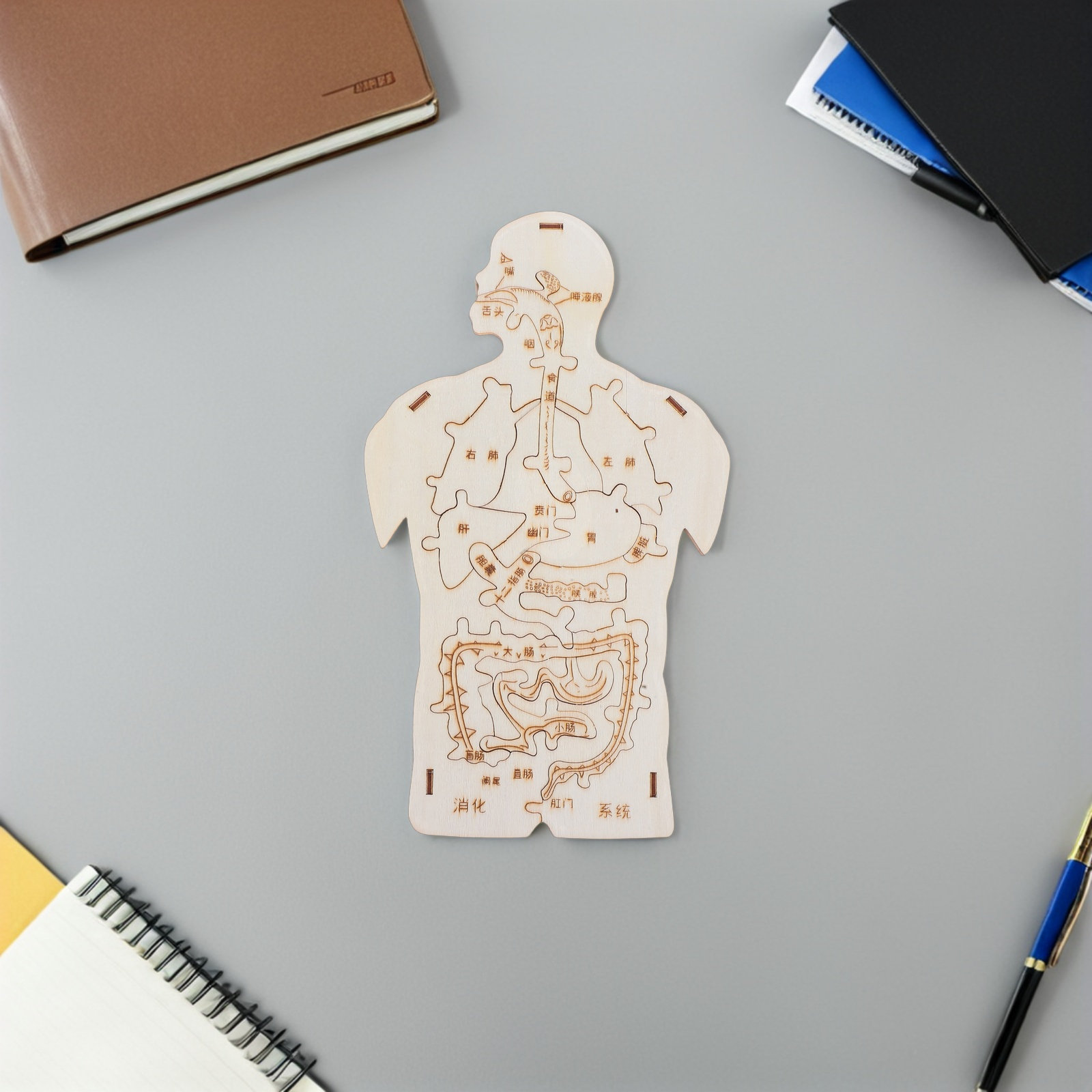 3Pcs Wooden Human Body Puzzle  - огляд і ціна Human Body Puzzle