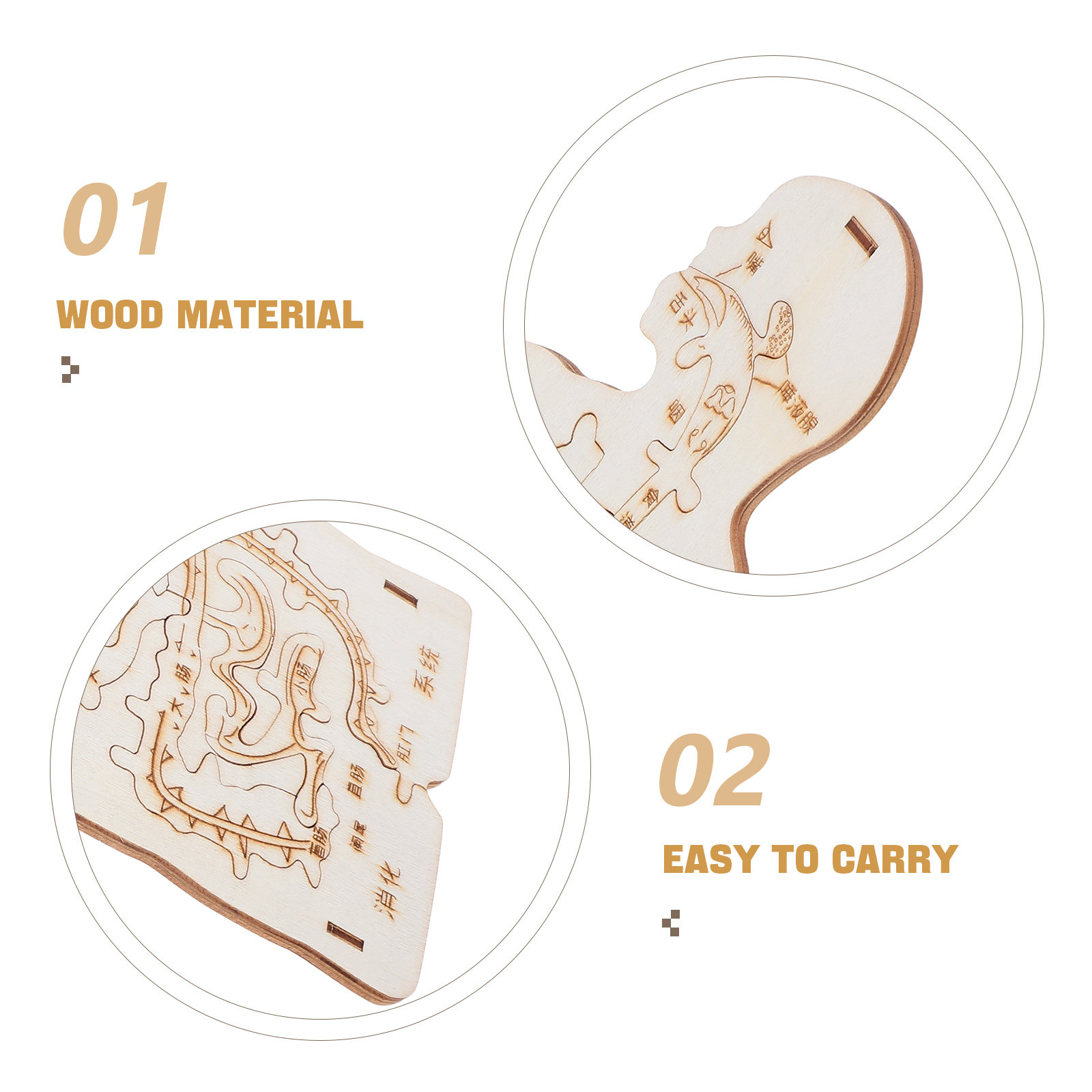 3Pcs Wooden Human Body Puzzle  - огляд і ціна Human Body Puzzle