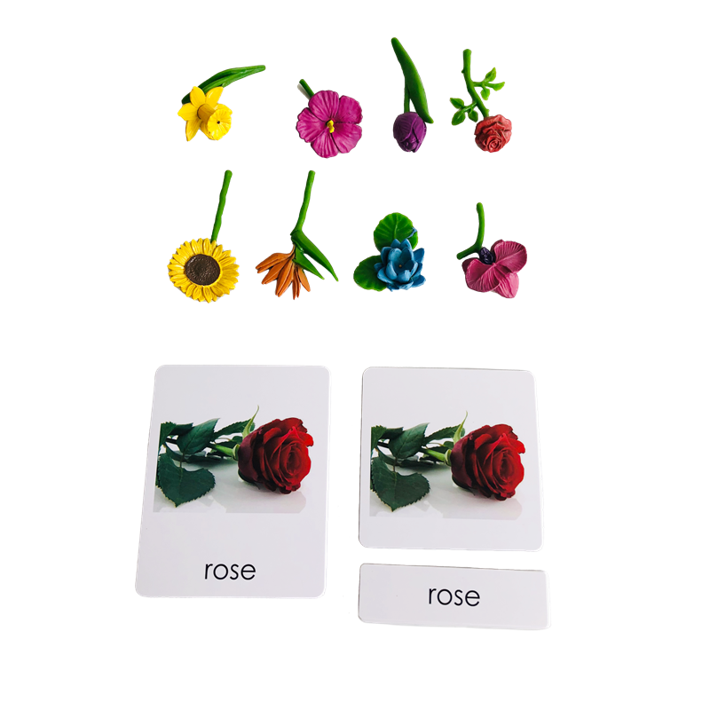 Montessori Language Materials  - огляд і ціна Human Body Puzzle