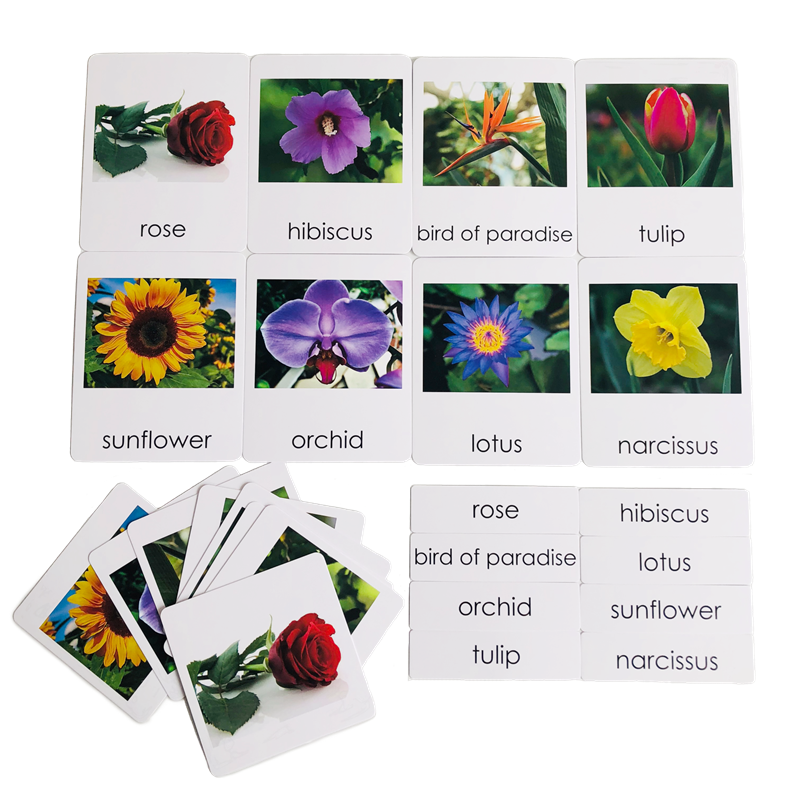Montessori Language Materials  - огляд і ціна Human Body Puzzle