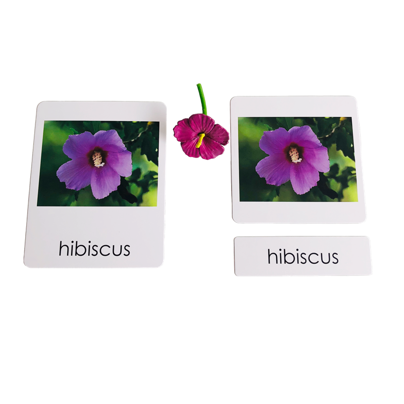 Montessori Language Materials  - огляд і ціна Human Body Puzzle