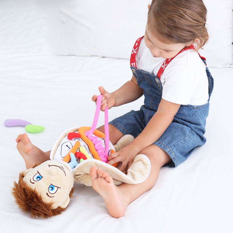 Human Viscera Cognitive Kid 3D - огляд і ціна Human Body Puzzle