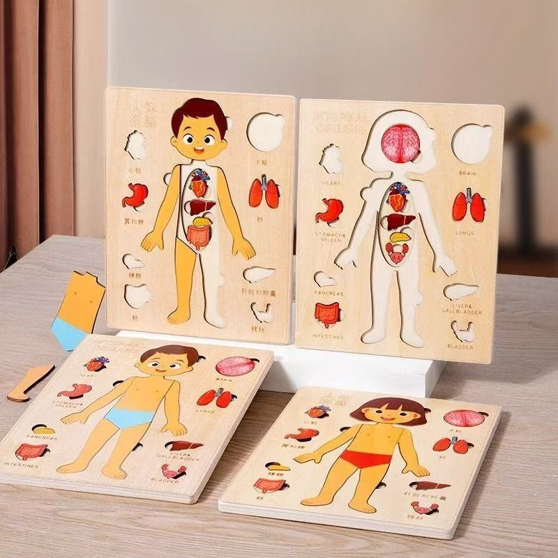 Montessori Puzzles Busy Board  - огляд і ціна Human Body Puzzle
