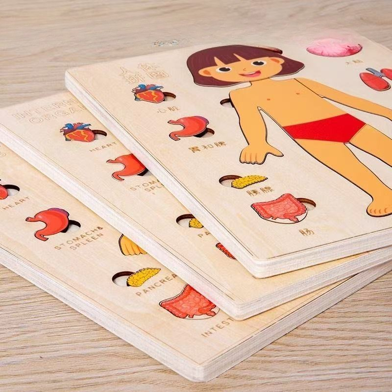 Montessori Puzzles Busy Board  - огляд і ціна Human Body Puzzle