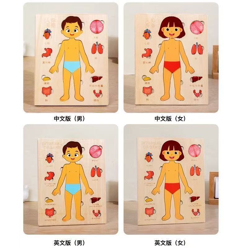 Montessori Puzzles Busy Board  - огляд і ціна Human Body Puzzle