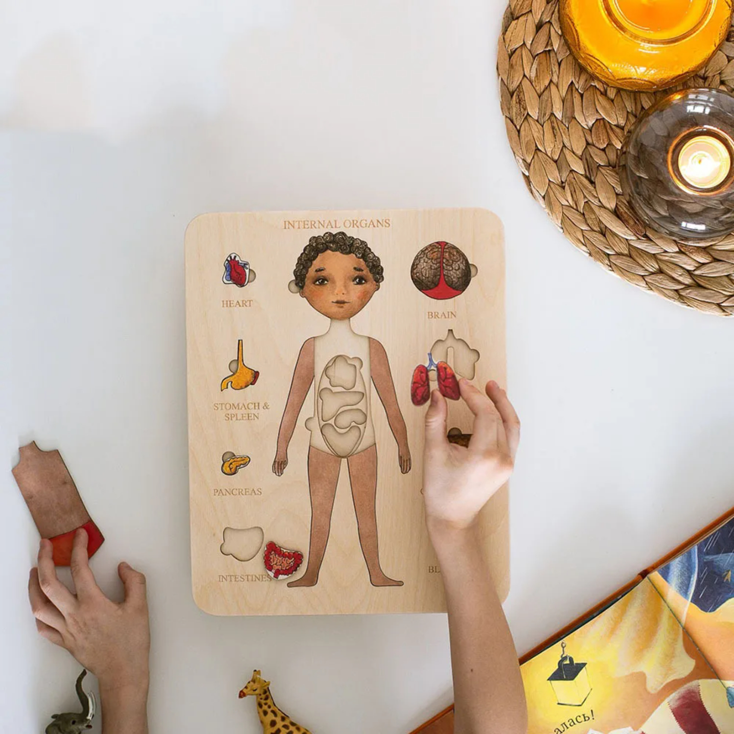 Montessori Wooden Puzzle Male  - огляд і ціна Human Body Puzzle