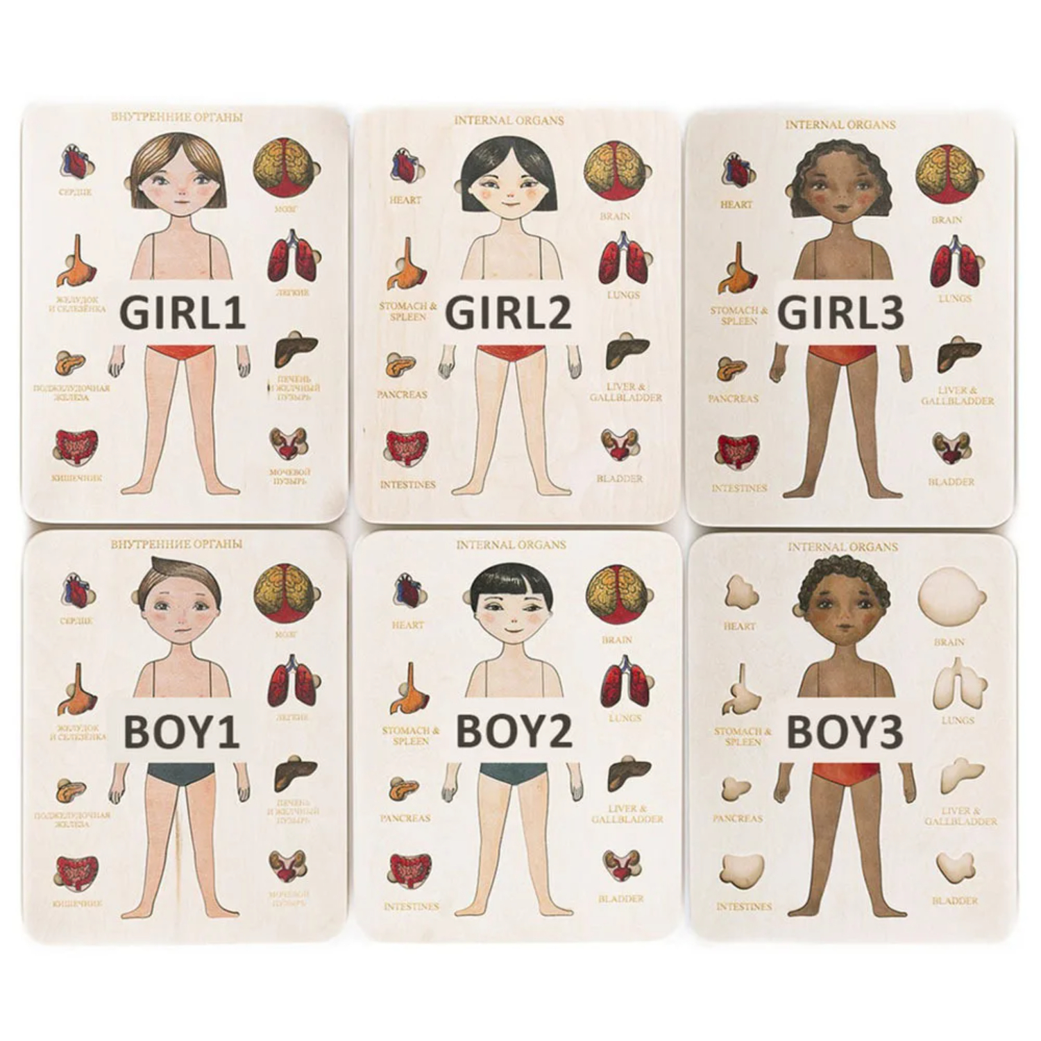 Montessori Wooden Puzzle Male  - огляд і ціна Human Body Puzzle