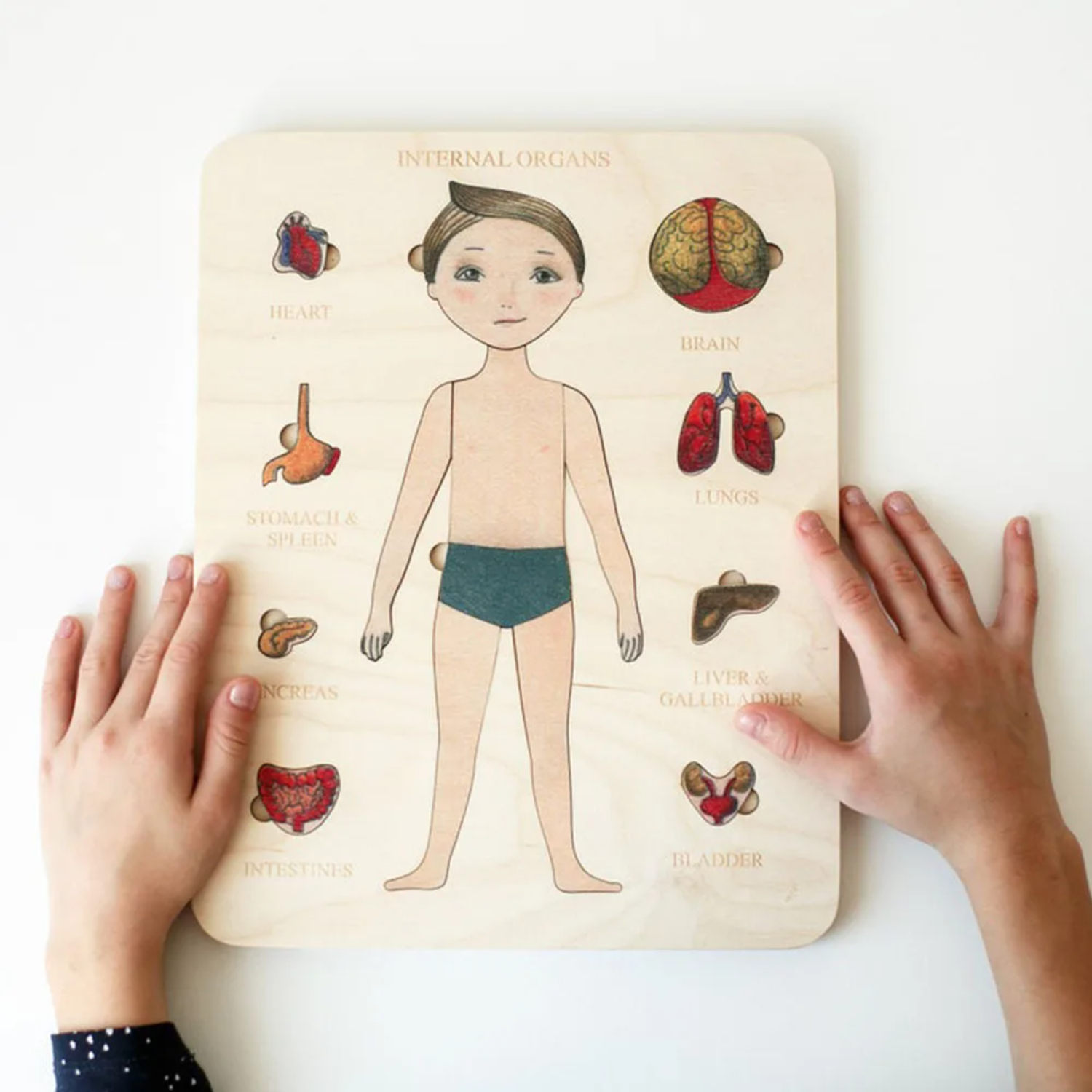 Montessori Wooden Puzzle Male  - огляд і ціна Human Body Puzzle
