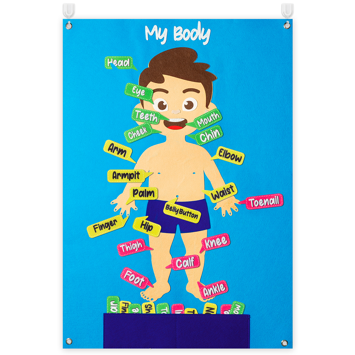 35Pcs Body Awareness Full Felt - огляд і ціна Human Body Puzzle