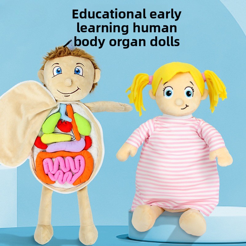 1Pc Human Organ Cognition Puzz - огляд і ціна Human Body Puzzle