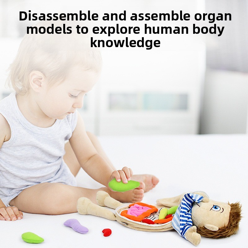 1Pc Human Organ Cognition Puzz - огляд і ціна Human Body Puzzle