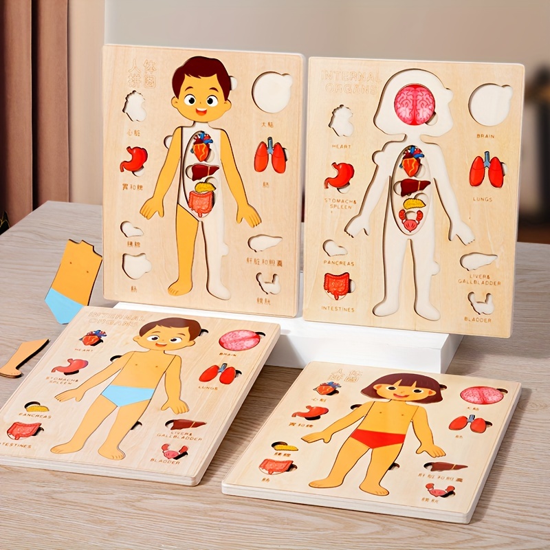 Human Body Puzzles for Kids Wo - огляд і ціна Human Body Puzzle