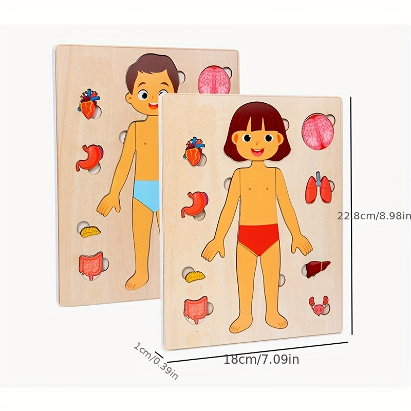 Human Body Puzzles for Kids Wo - огляд і ціна Human Body Puzzle