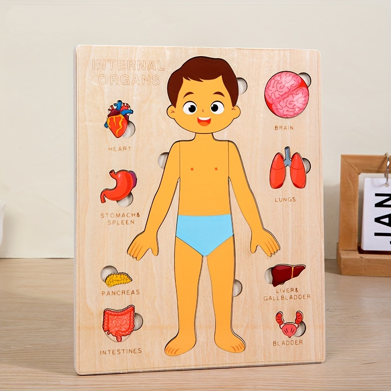 Human Body Puzzles for Kids Wo - огляд і ціна Human Body Puzzle