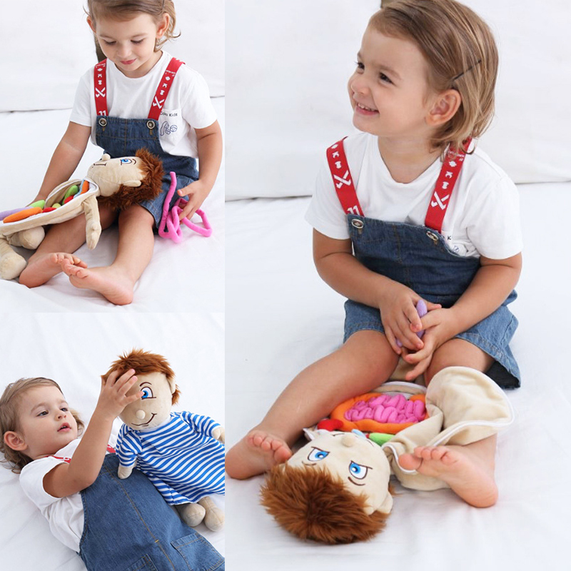 Kid 3D Puzzle Human Body  Mode - огляд і ціна Human Body Puzzle