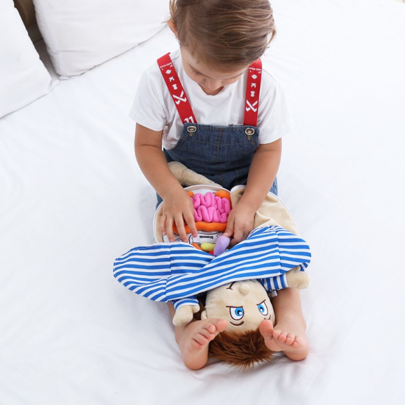 Kid 3D Puzzle Human Body  Mode - огляд і ціна Human Body Puzzle
