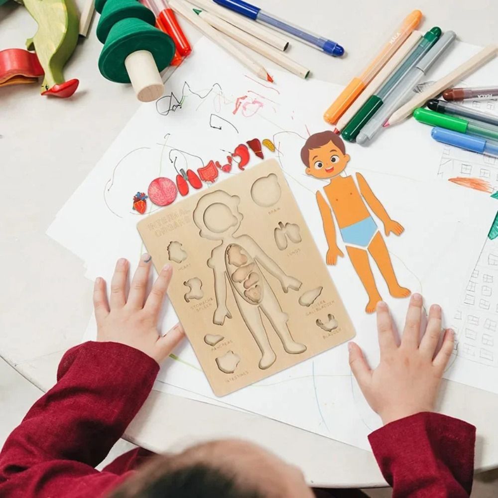 NEW Learning Board Montessori  - огляд і ціна Human Body Puzzle