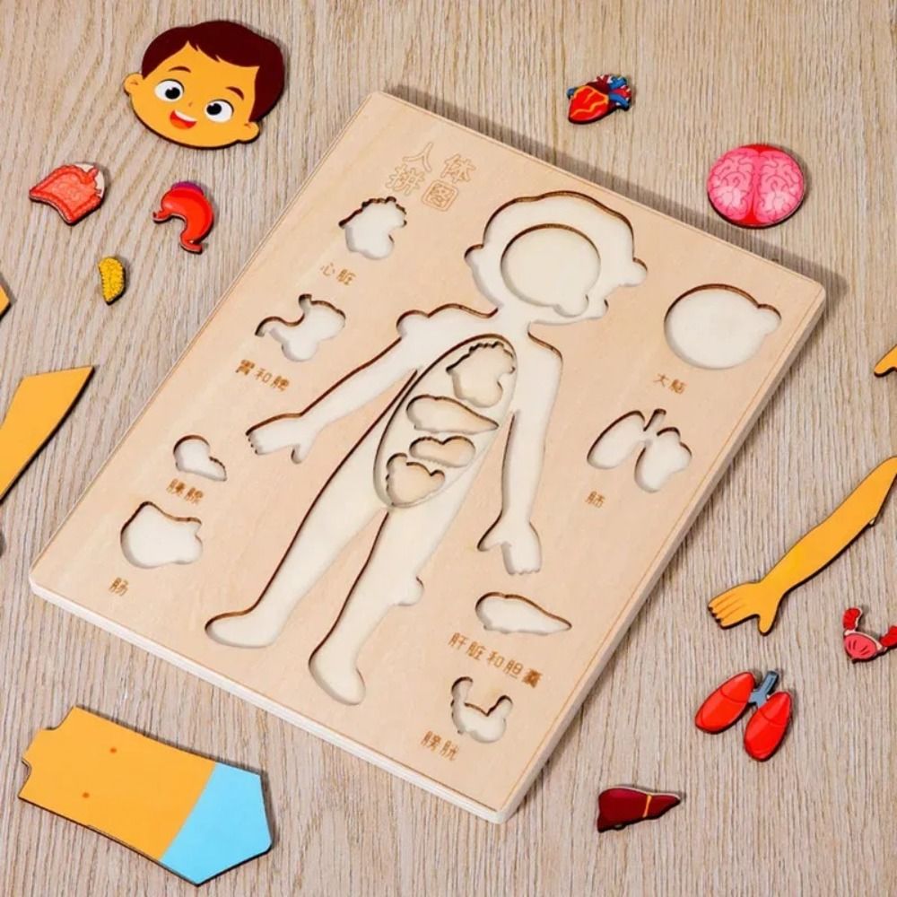 NEW Learning Board Montessori  - огляд і ціна Human Body Puzzle