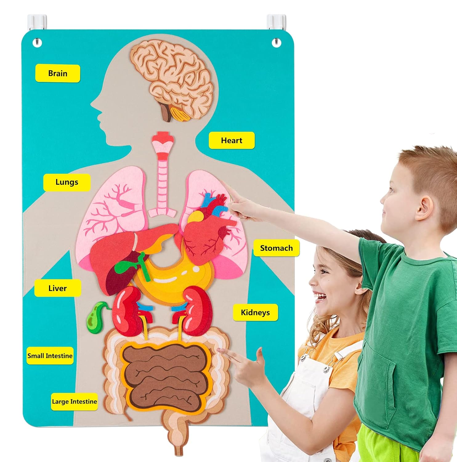 Human Body Parts Felt Board St - огляд і ціна Human Body Puzzle
