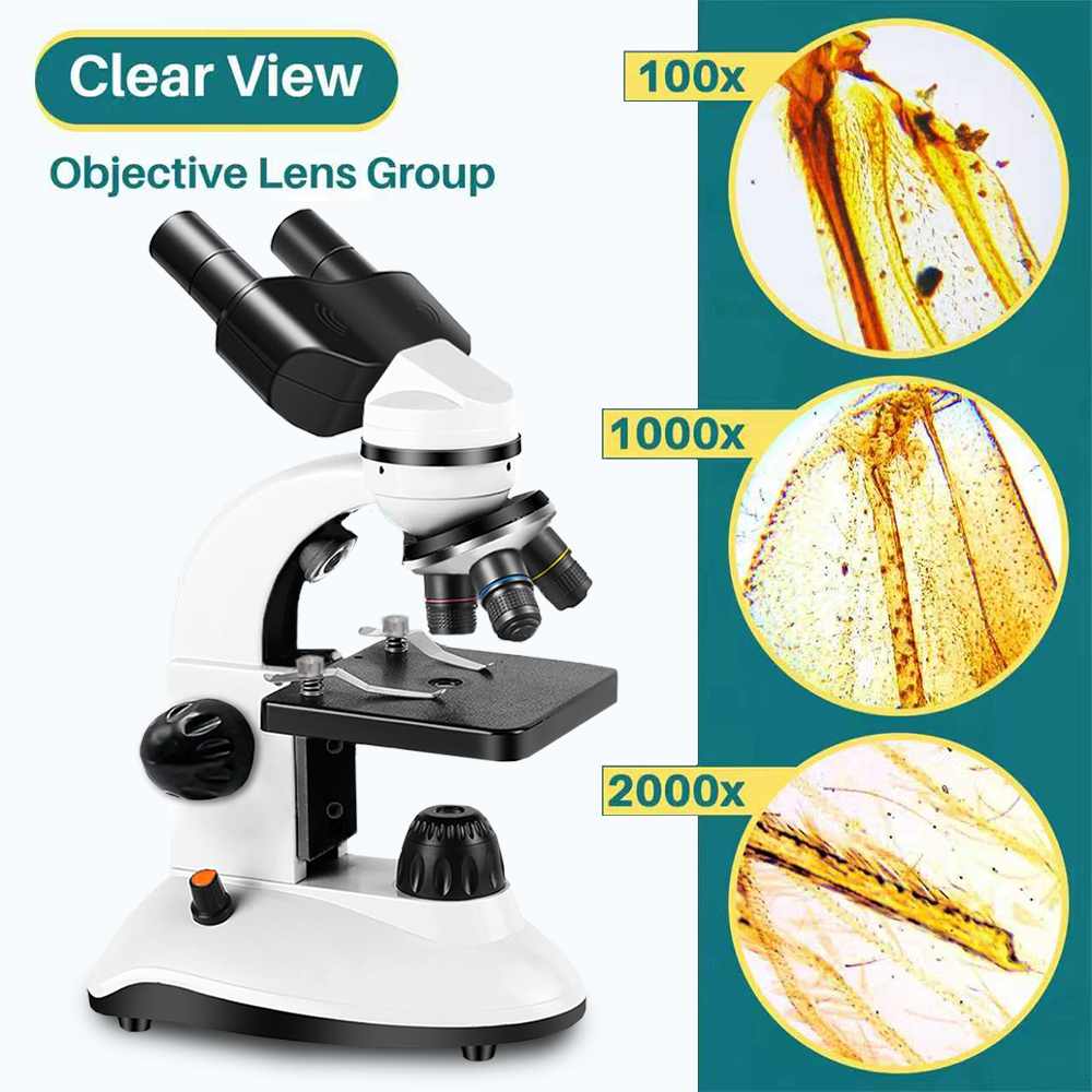 Binocular Microscope, High Def - огляд і ціна Kids Definition Of Education