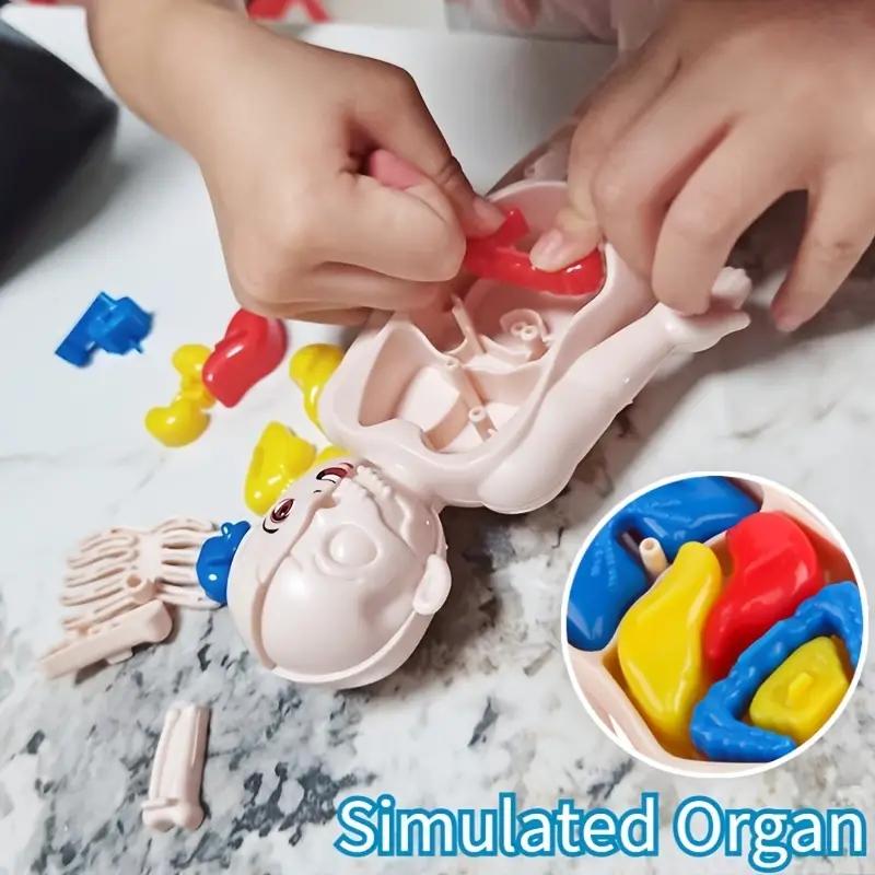 14PCS/Set 3D Puzzle Human Anat - огляд і ціна Human Body Puzzle