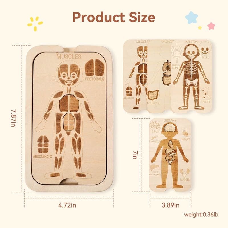 18pcs Wooden Puzzles Montessor - огляд і ціна Human Body Puzzle