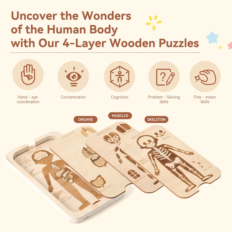 18pcs Wooden Puzzles Montessor - огляд і ціна Human Body Puzzle
